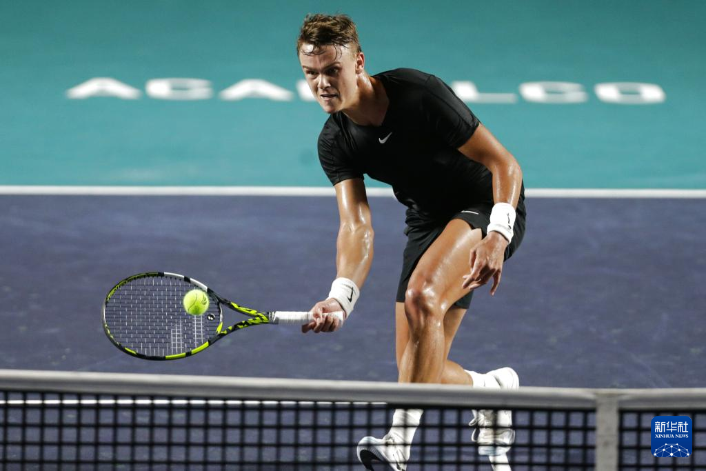 特点鲜明 特点鲜明