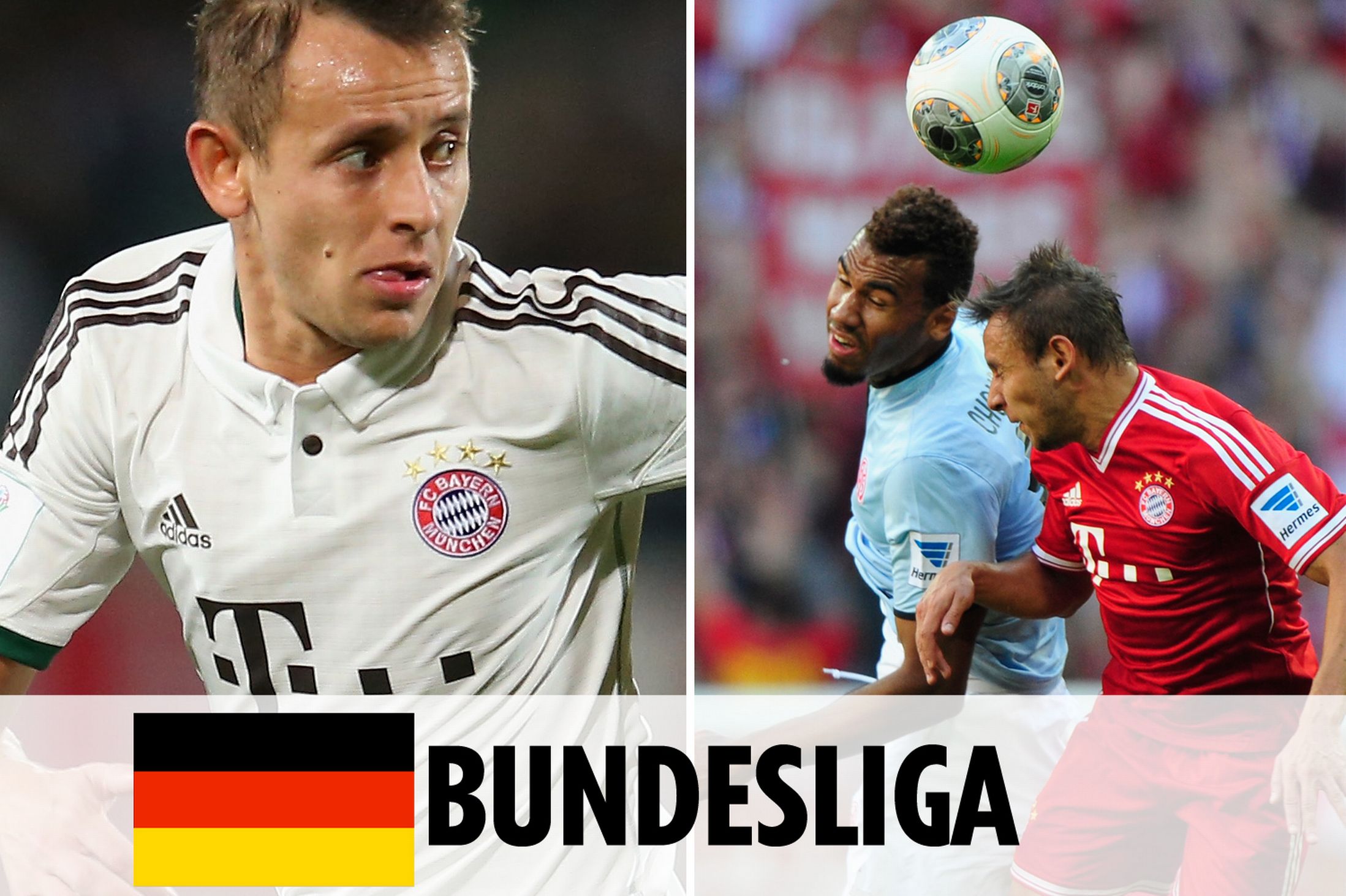 逼到角落时 逼到角落时