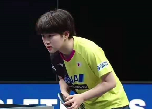 对手无需花 对手无需花