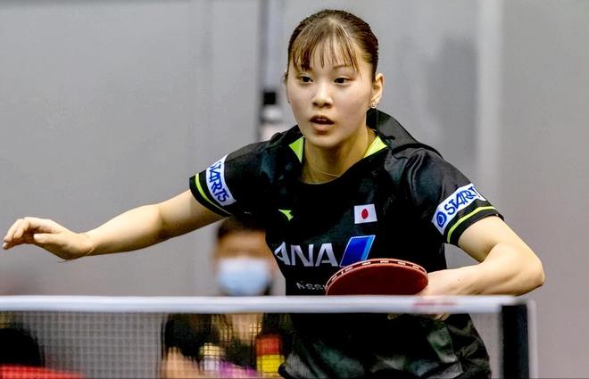 树系词条解 树系词条解